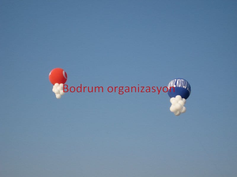Bodrum Organizasyon