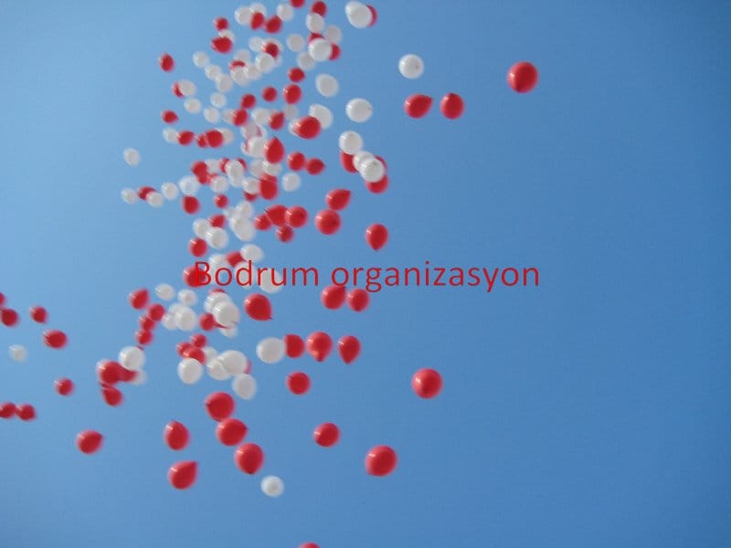 Bodrum Organizasyon