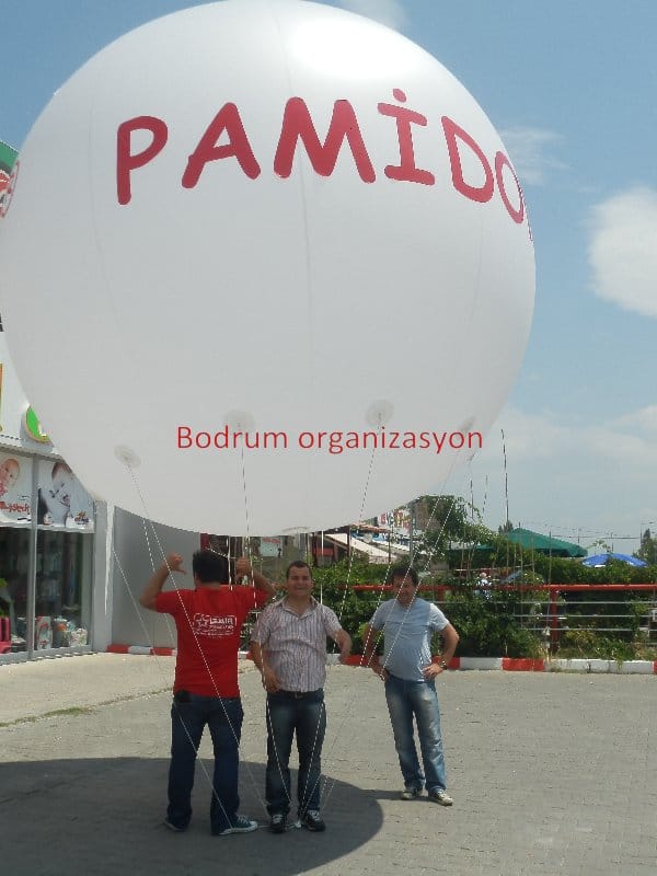 Bodrum Organizasyon