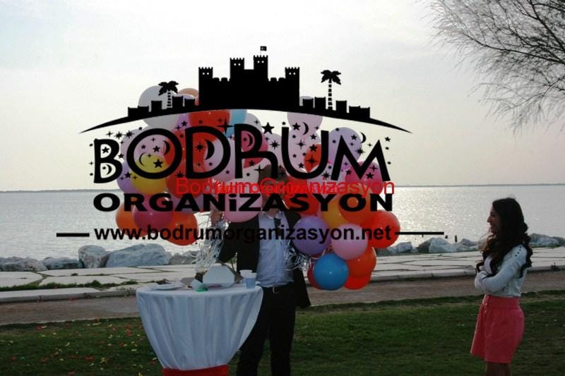 Bodrum Organizasyon