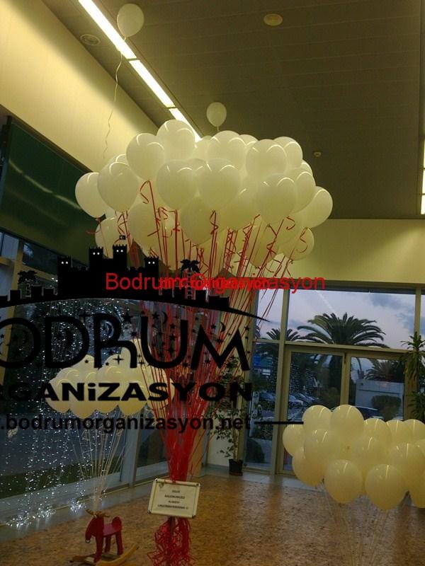 Bodrum Organizasyon