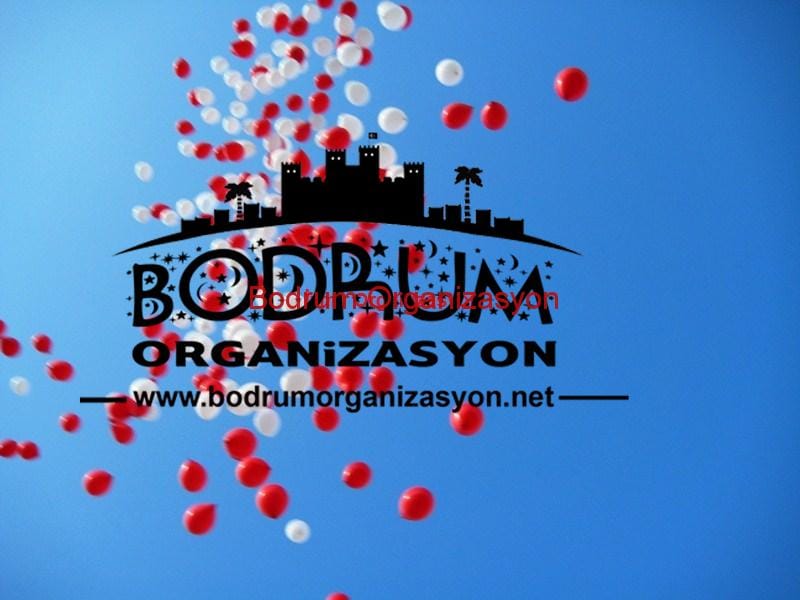 Bodrum Organizasyon