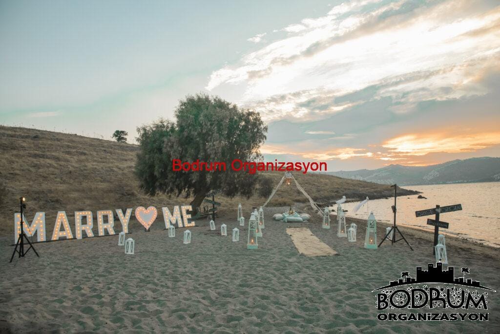 Bodrum Organizasyon